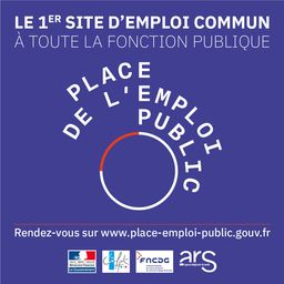 Place de l’emploi public